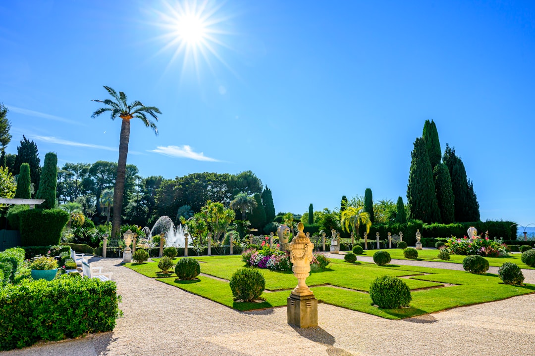 Sunny formal garden with sculptures and manicured hedges.