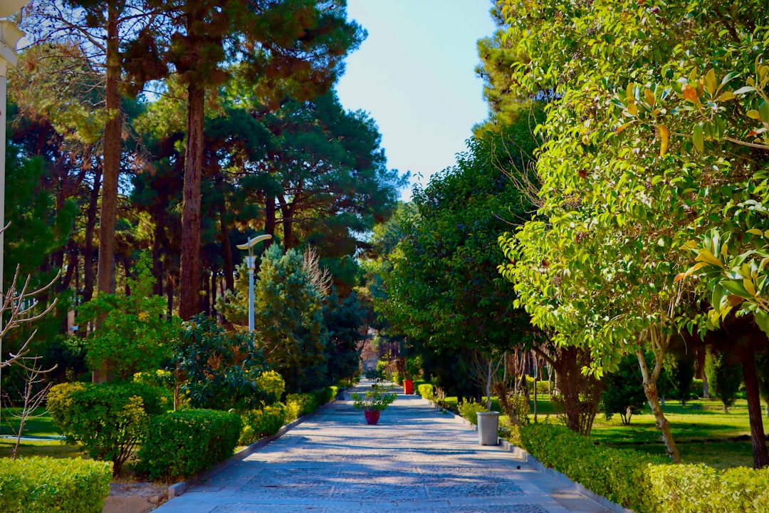A beautiful park path lined with trees and bushes.