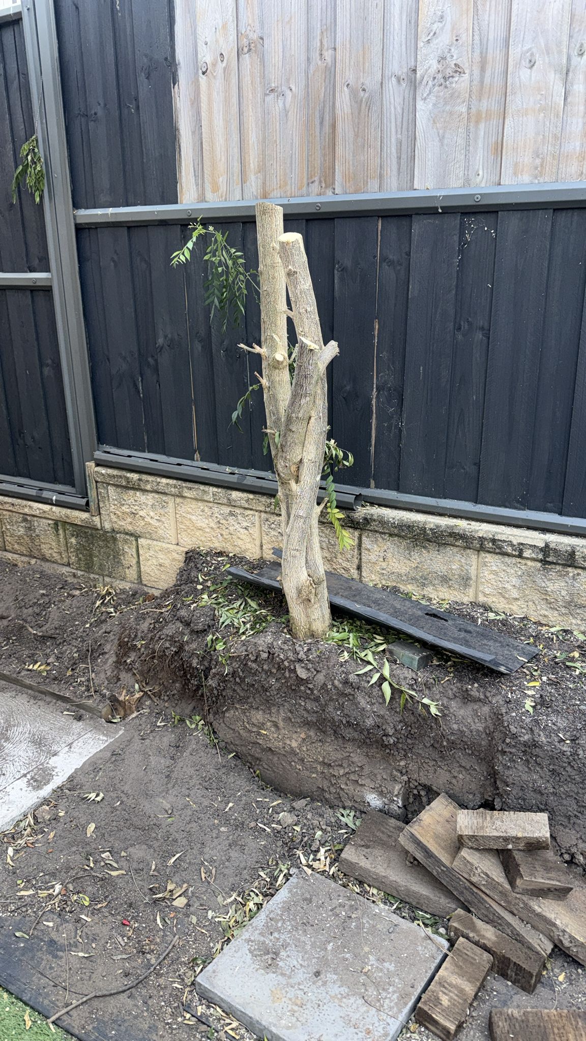 Concrete and paving work in progress